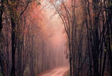 巴萨苦战绝平闷平赫塔菲，稳稳排名积分榜前列